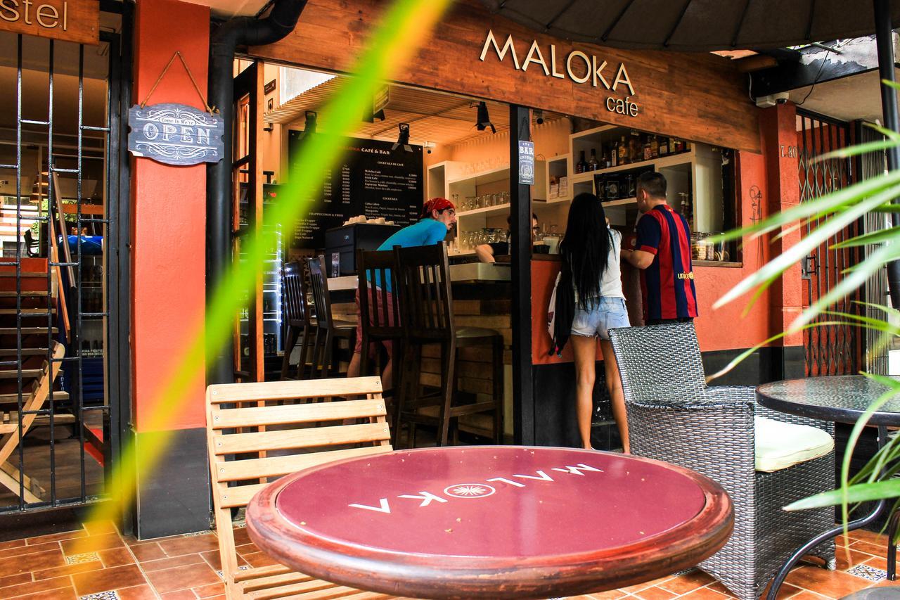Maloka